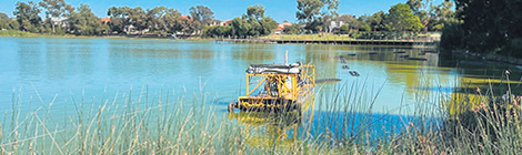 Rates revolt over&nbsp;midges