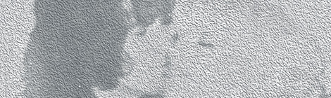 SUMMER READING: Bon Scott kissed my&nbsp;wife