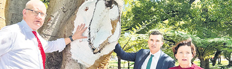 Borer gives park a&nbsp;Hyding