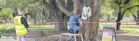 Bleak outlook on&nbsp;borers