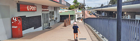 Where did our trees&nbsp;go?