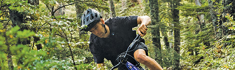 Giant bike, short films, huge&nbsp;success