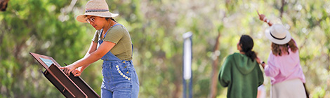 Trail stretches back aeons